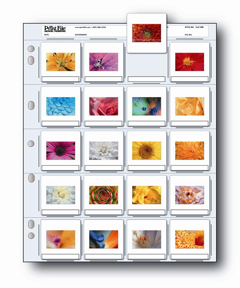 Print File 2x2 20B 35mm Archival Storage Pages, Holds 20 Slides, 25 Pages