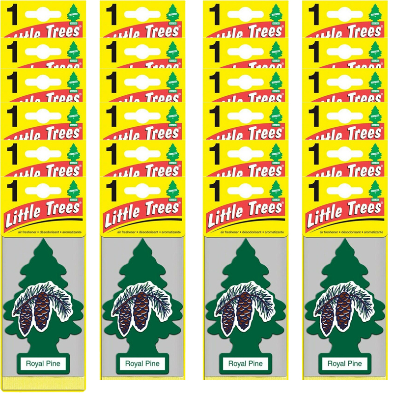Little Trees Royal Pine Car Air Fresheners, Pack of 24