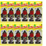 Little Trees Car and Home Air Fresheners Rose Thorn Scent, 12 Pack