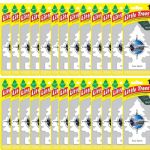 Little Trees True North Scent Car and Home Air Fresheners, 24 Count