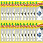 Little Trees True North Scent Car and Home Air Fresheners, 24 Count