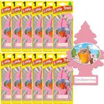 Little Trees Car and Home Air Fresheners Cherry Blossom Honey Scent, 12 Pack