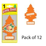 Little Trees Peachy Peach Air Fresheners, 12 Count