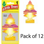 Little Trees Sunset Beach Scent Air Fresheners, 12 Count