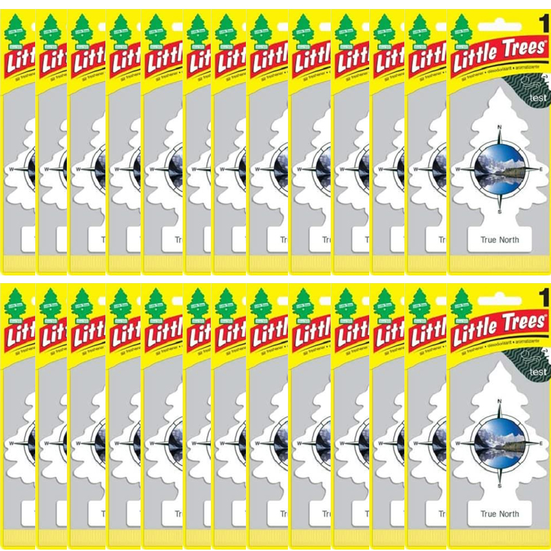 Little Trees True North Scent Car and Home Air Fresheners, 24 Count